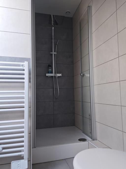 Appartement Sierentz Екстериор снимка